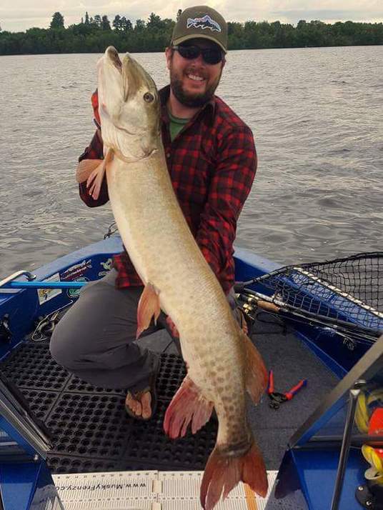 Happy guy displays a huge muskie he caught with Lake Vermilion Fishing Guides
