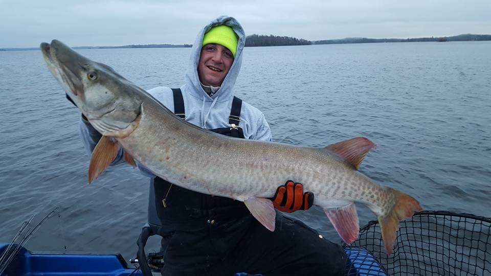 Guy showing a huge muskie he reeled in with Lake Vermillion fishing fuides on a cloudy day on the lake