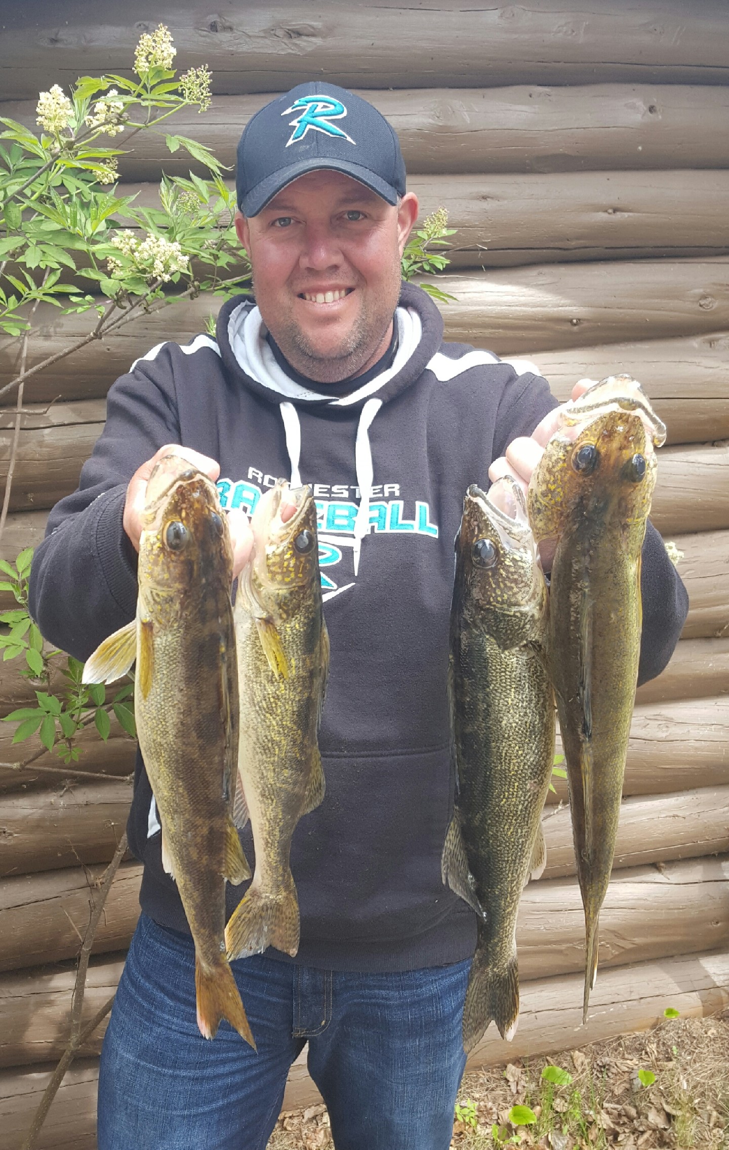 Guy showing the four walleye that he caught