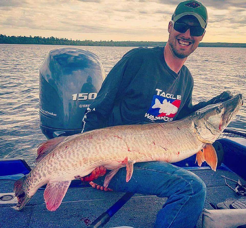 Guy on Lake Vermilion Guide Service fishing boat holding up a muskie and having a good time