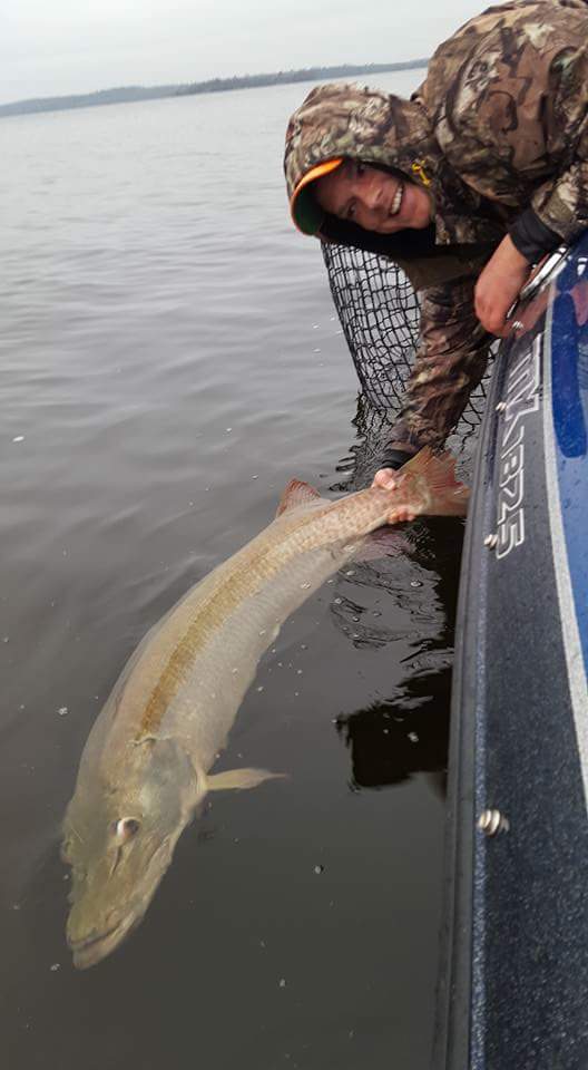 Guy releasing a muskie into the water after a successful catch 