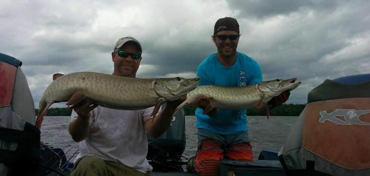 Two gentleman holding up trophy size muskies that they caught with Living Legends Guide Service